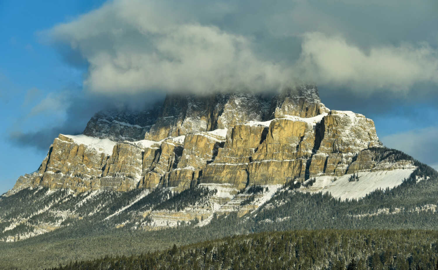 Winter Rocky Mountain Paintings